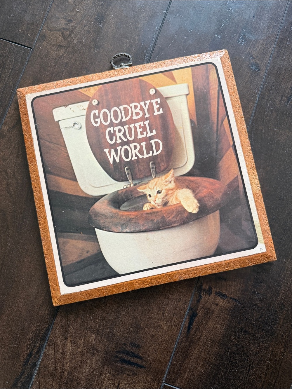 Amazon Orange & Brown Vintage Cat Wall Plaque - 'Goodbye Cruel World'